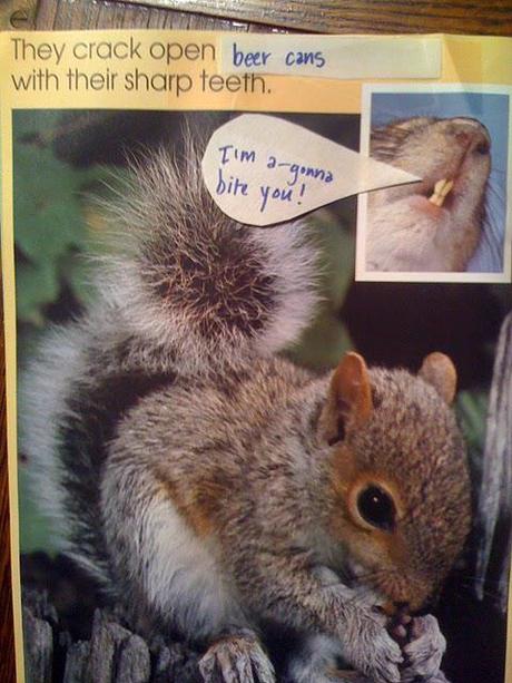 The Perversions of Squirrels: A Children's Story