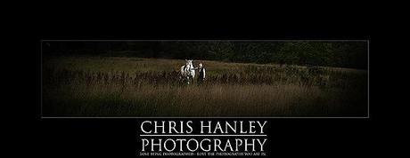 bride on horseback photoshoot (2)