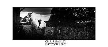 bride on horseback photoshoot (4)