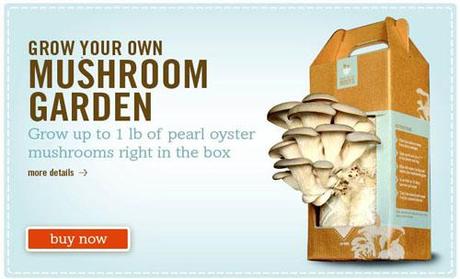 The Mushroom Kit