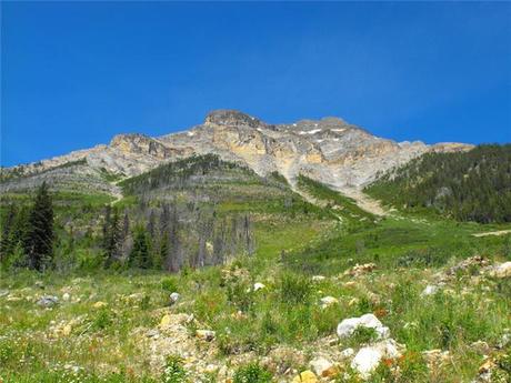 canada vs germany - Canadian Rockies win!