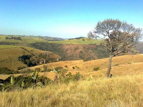 Umbumbulu valley