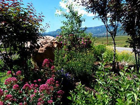 Ditch Gardens and Deck Decorations