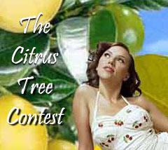 Citrus Tree Fanfic Contest