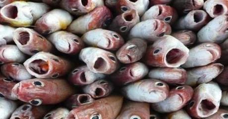 A meating frenzy at Borough Market