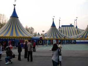 Cirque Du Soleil in Seoul