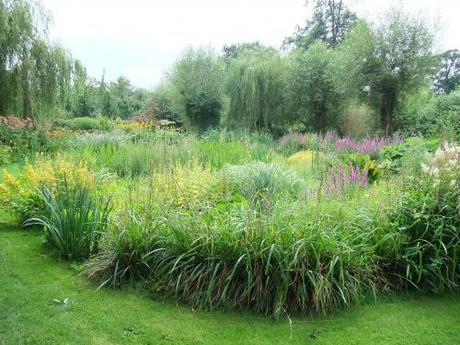 A Watery Gem of a Garden