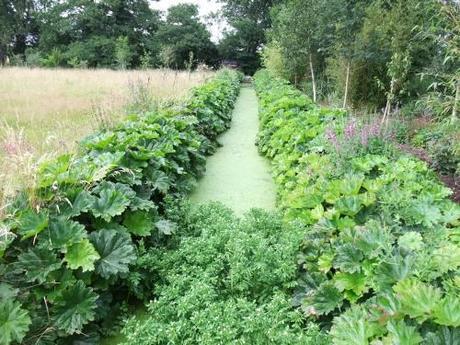 A Watery Gem of a Garden