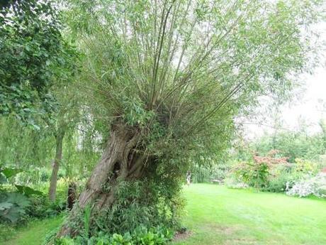 A Watery Gem of a Garden