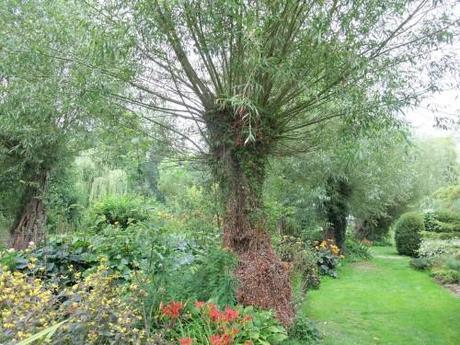 A Watery Gem of a Garden