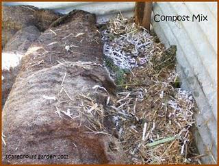 Compost 2011