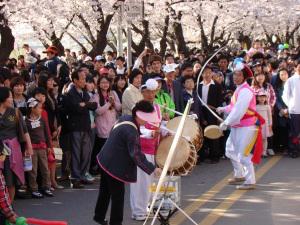 Flowers! Flowers! Flowers! Spring Flower Festival