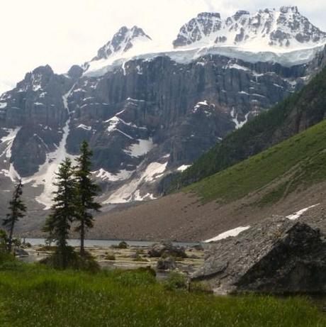 View of glacier from Panorama Ridge