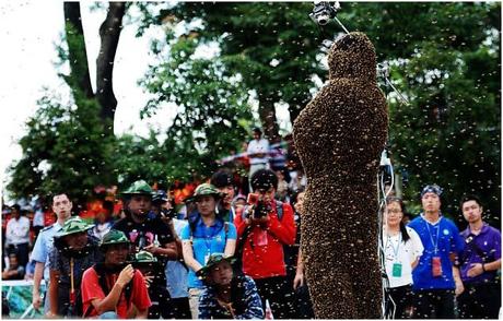 Chinese Boy Won The Incredible Bee Beard Competition 7