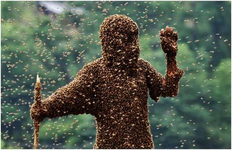 Chinese Boy Won The Incredible Bee Beard Competition 2