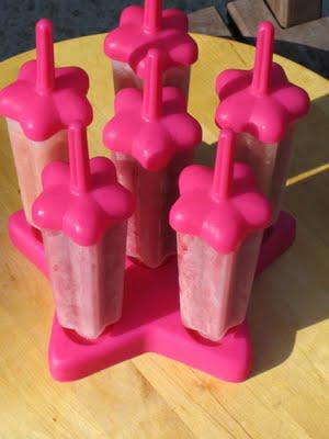 REAL fruit, sugar-free popsicles