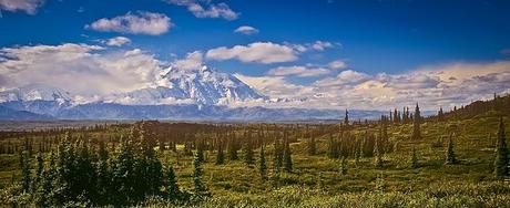 PHOTOGRAPHING ALASKA AND THE GRIZZLIES