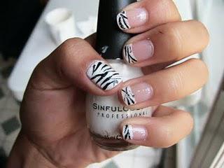 NOTW: Zebra Stripes!