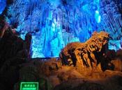 Favorite Links Living Dream Edition