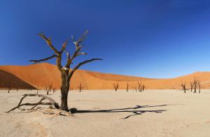 Where You Should Be! - Namibia