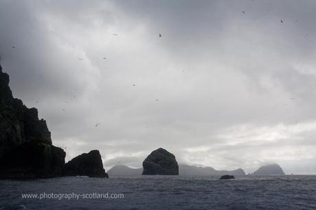 Photo - Boreray, Stac Lee, Hirta and Soay, St Kilda, Scotland