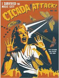 2011: THE YEAR OF THE CICADA