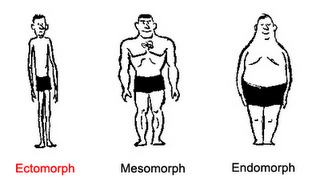 APOCALYPTIC BODY TYPES