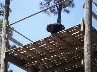 THE MAKING OF A MARINE: CONFIDENCE COURSE