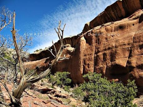 2011 - April 5th - Lower Devils Canyon Area, McInnis Canyons National Conservation Area