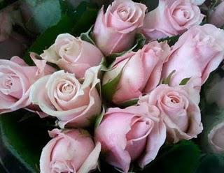 Pink Roses.