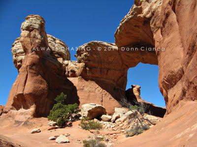 2011 - March 23rd - Sand Dune, Broken & Tapestry Arches, Arches National Park