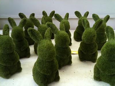 Moss Rabbits