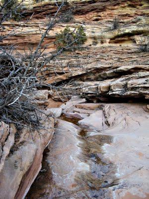 2011 - March 1st - Lower Flume Creek Canyon, McInnis Canyons National Conservation Area/Black Ridge Canyons Wilderness