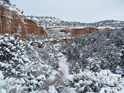 2011 - February 8th - Colorado National Monument Snow Storm Aftermath