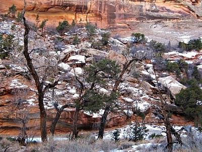 2011 - January 25th - Echo Canyon - Colorado National Monument