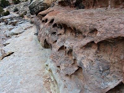 2011 - January 25th - Echo Canyon - Colorado National Monument