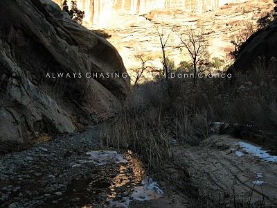 2011 - January 25th - Echo Canyon - Colorado National Monument