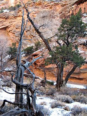 2011 - January 25th - Echo Canyon - Colorado National Monument