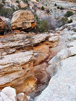 2011 - January 25th - Echo Canyon - Colorado National Monument