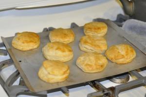 Popeye’s Biscuits