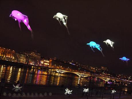 Fête des Lumières 2012