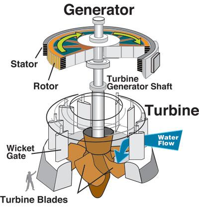  Planttree on Valleyauthority  Of A Hydroelectric Power Plant To See The Details