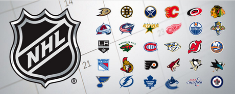 2013 NHL Logos Banner