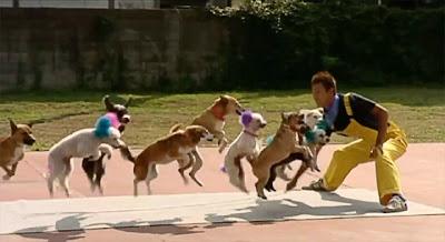 13 DOGS Break World Record for Skipping on a Rope!