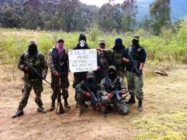 Forest defenders from Cheran, Michoacan are in solidarity with the Idle No More movement from Canada.