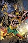 THE SAVAGE HAWKMAN #19