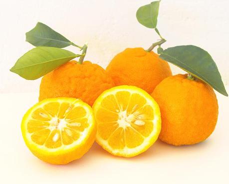 Seville oranges on Monsabor.com