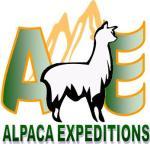 “10 Things I Loved About Trekking to Machu Picchu with Alpaca Expeditions”