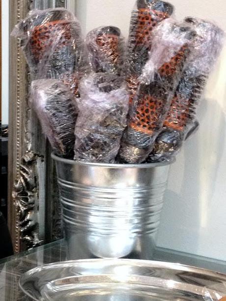 15/365 A hairbrush bush