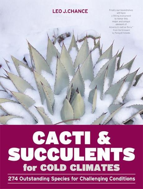 Cacti & Succulents for Cold Climates